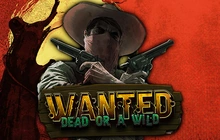 Wanted Dead or a Wild